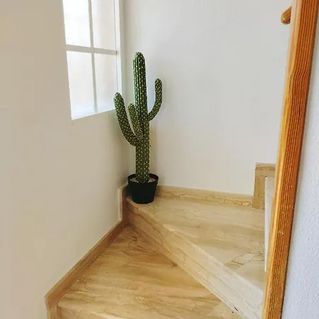 Apartment Casa Pareada Con Jardin, Solarium Y Wifi Gratis Torrevieja